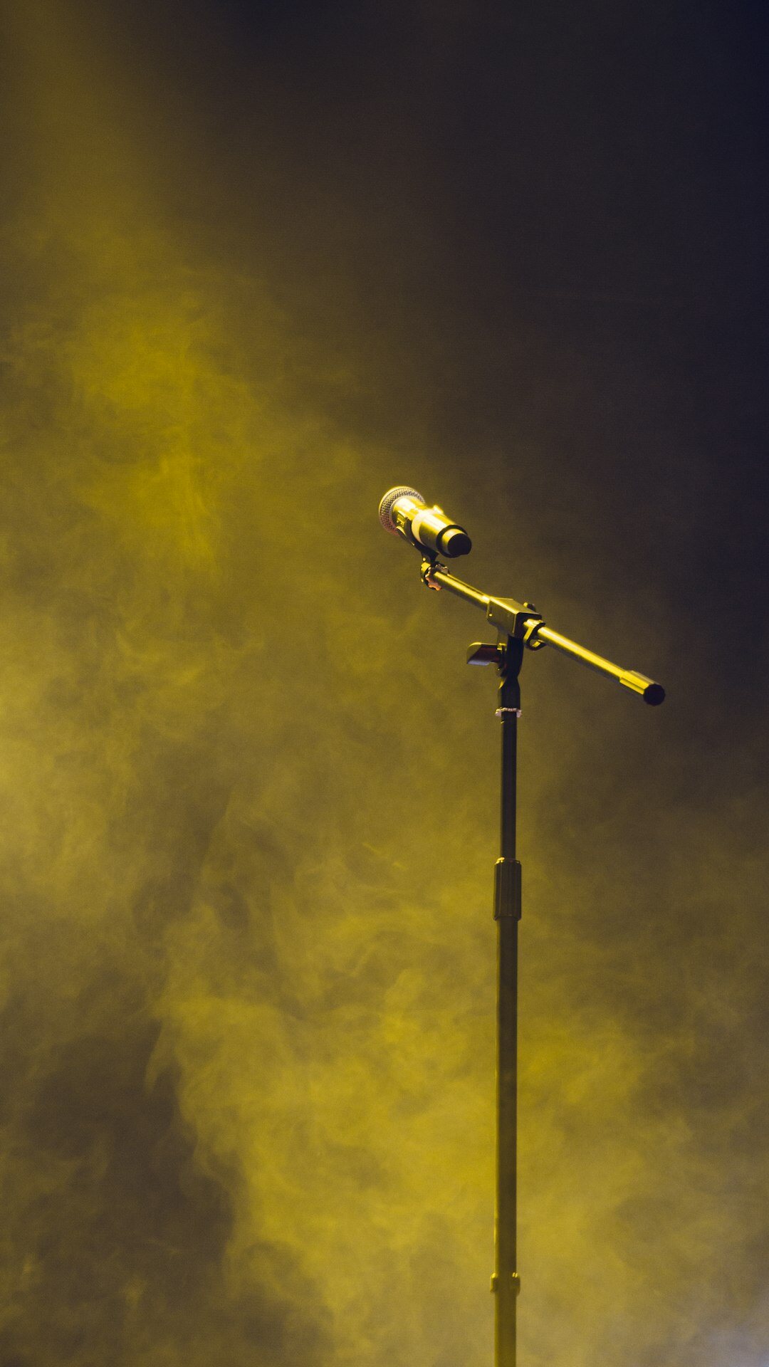 famous singer on stage