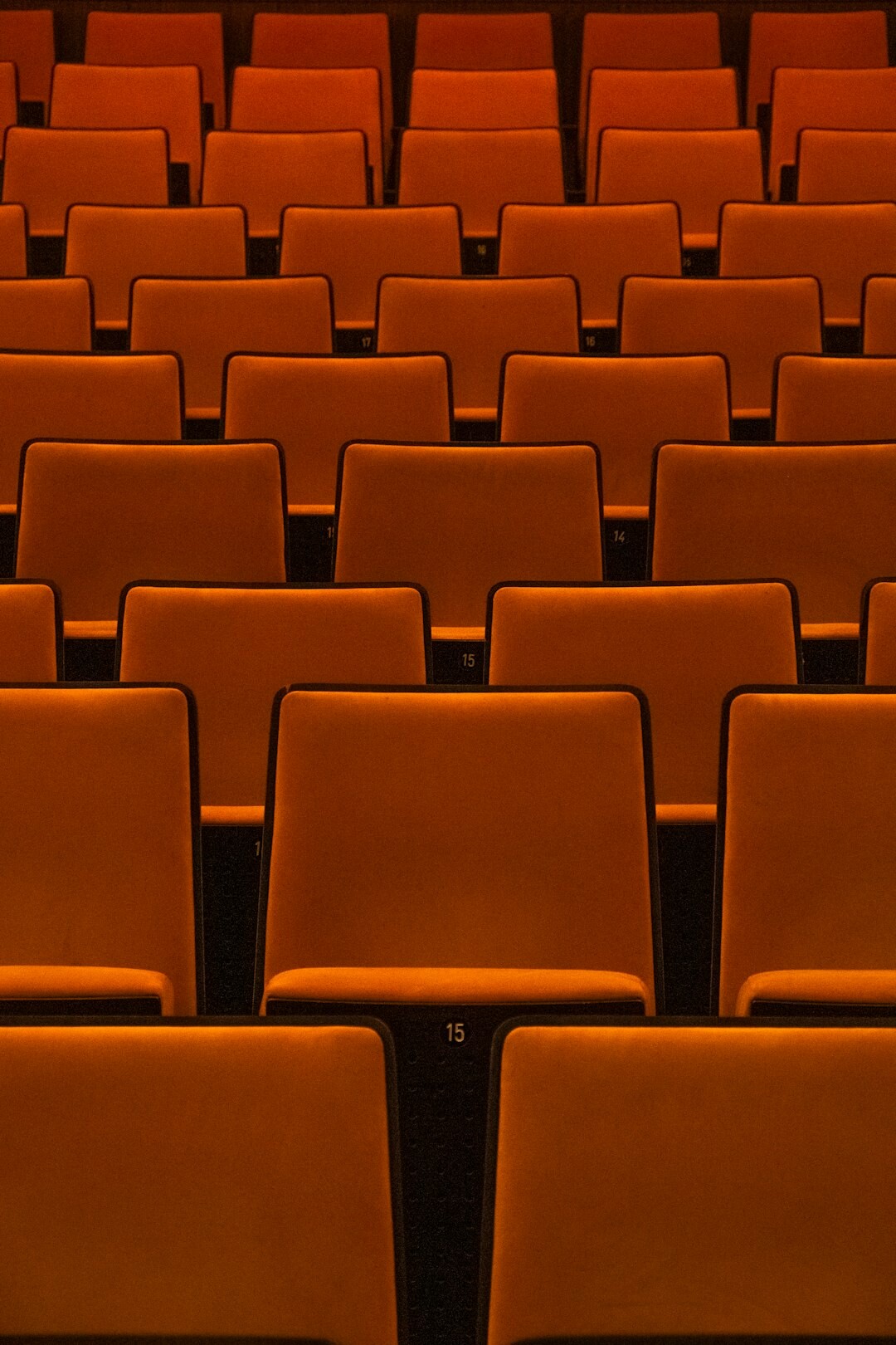 Vintage cinema seats in an empty theatre